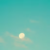 II_00019