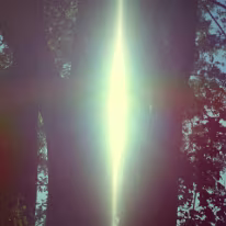 III_00006