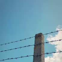 III_00014
